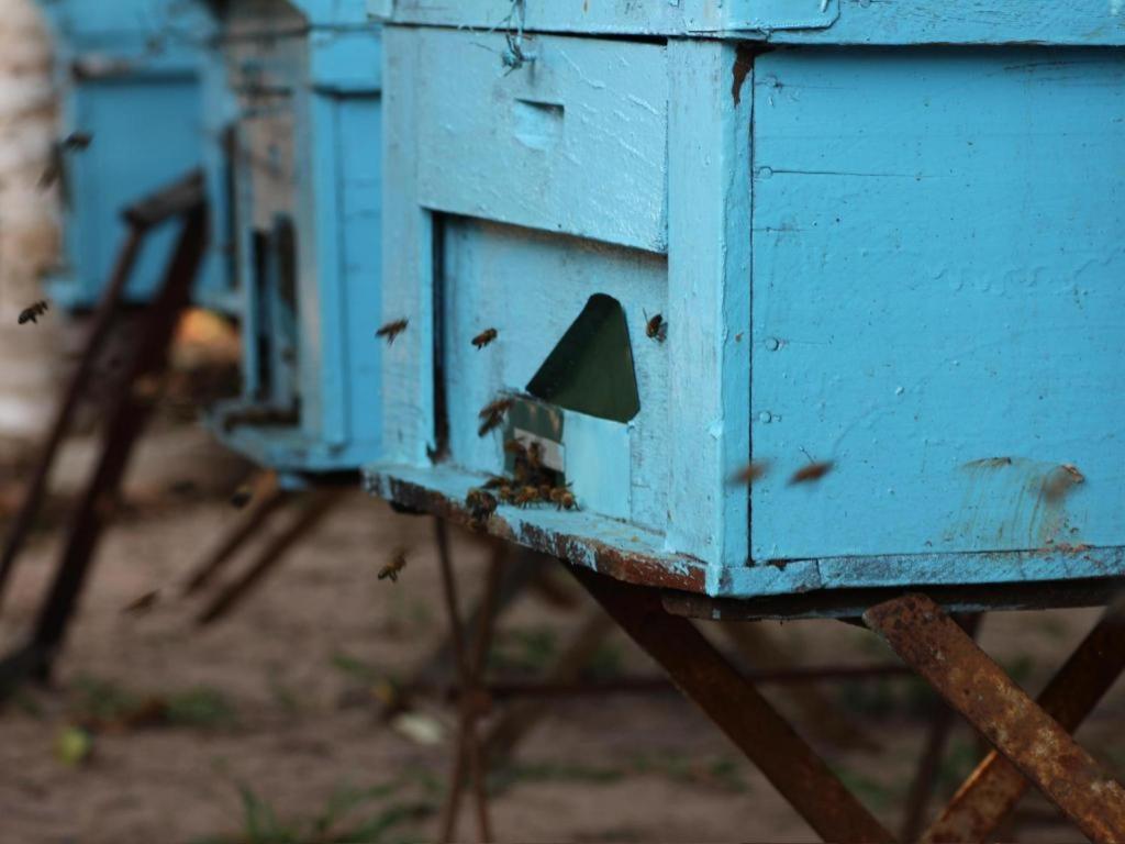 Pepper Farm Phu Quoc Bungalow Εξωτερικό φωτογραφία