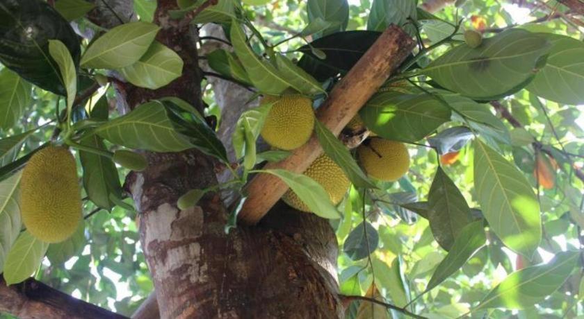 Pepper Farm Phu Quoc Bungalow Εξωτερικό φωτογραφία